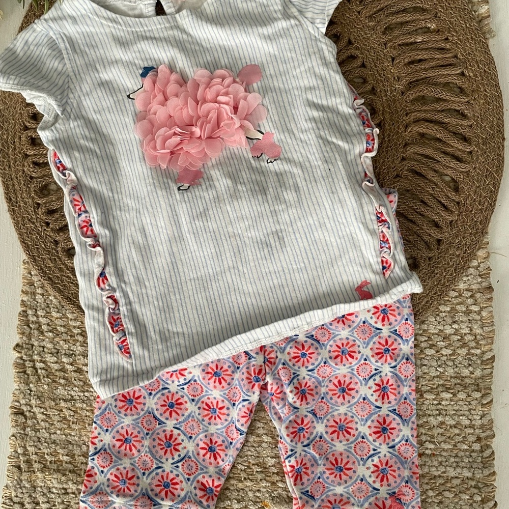 Joules Pink and Gray Kids Matching Set Sz 9/12mths